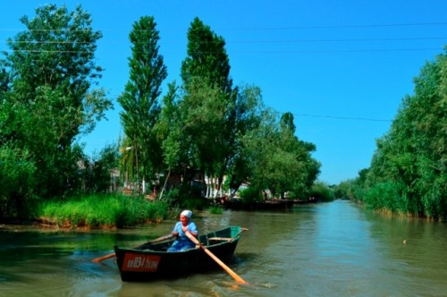 Вилкове