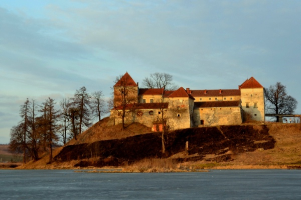 Свірзький замок