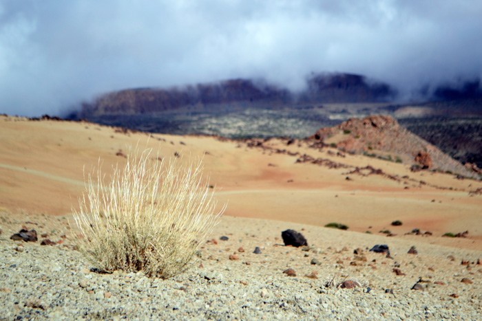 3-teide max9